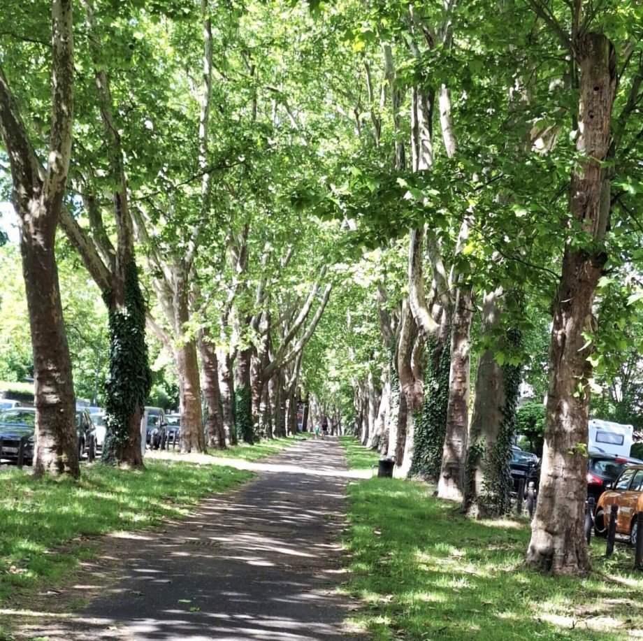 Bayenthalg�rtel Maisonettewohnung K�ln