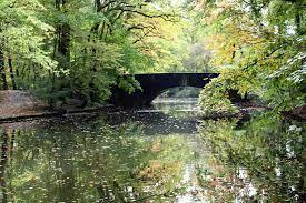 Stadtwald Etagenwohnung K�n