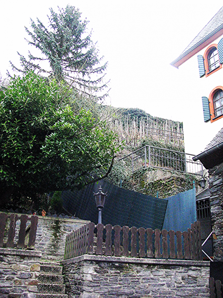 Hausgarten Stadthaus Bernkastel-Kues