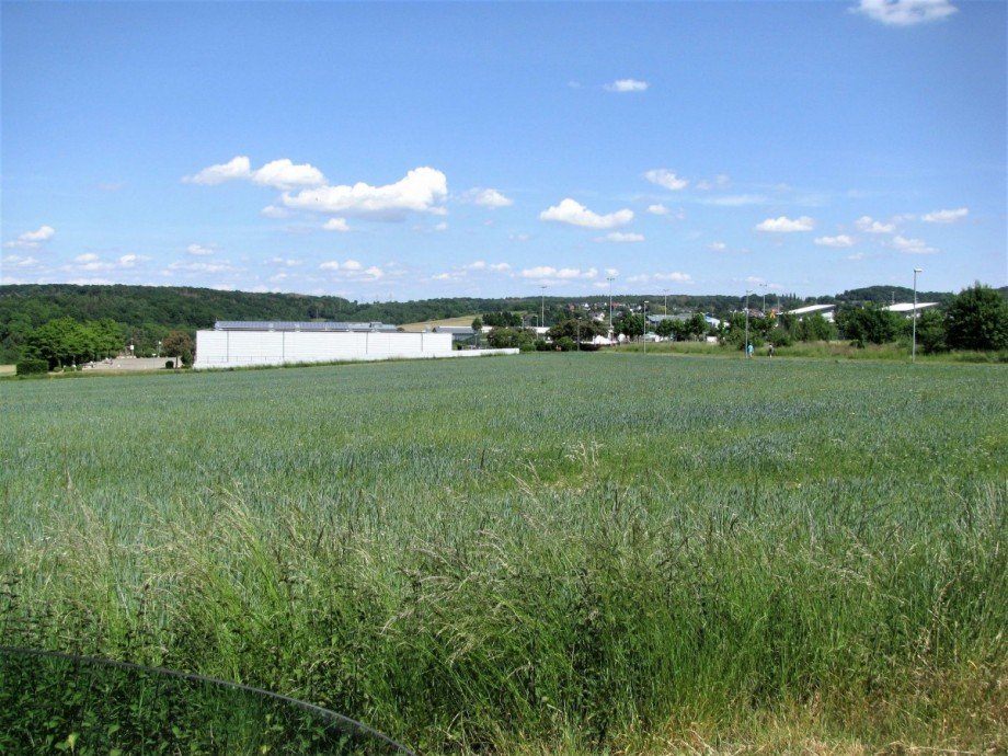 Bauareal 1 Grundst�ck K�nigswinter Oberpleis