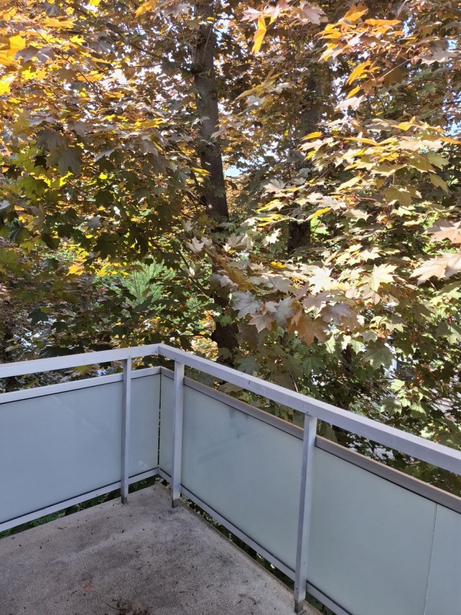 Balkon Schlafzimmer Etagenwohnung K�ln