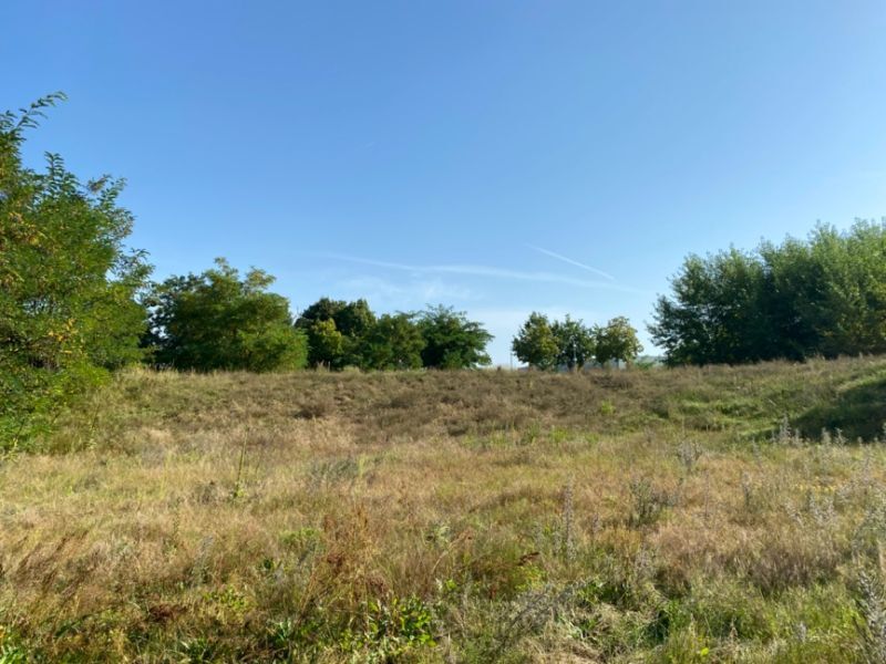 Grundst�ck Ansicht 2 Grundst�ck Kleinmachnow