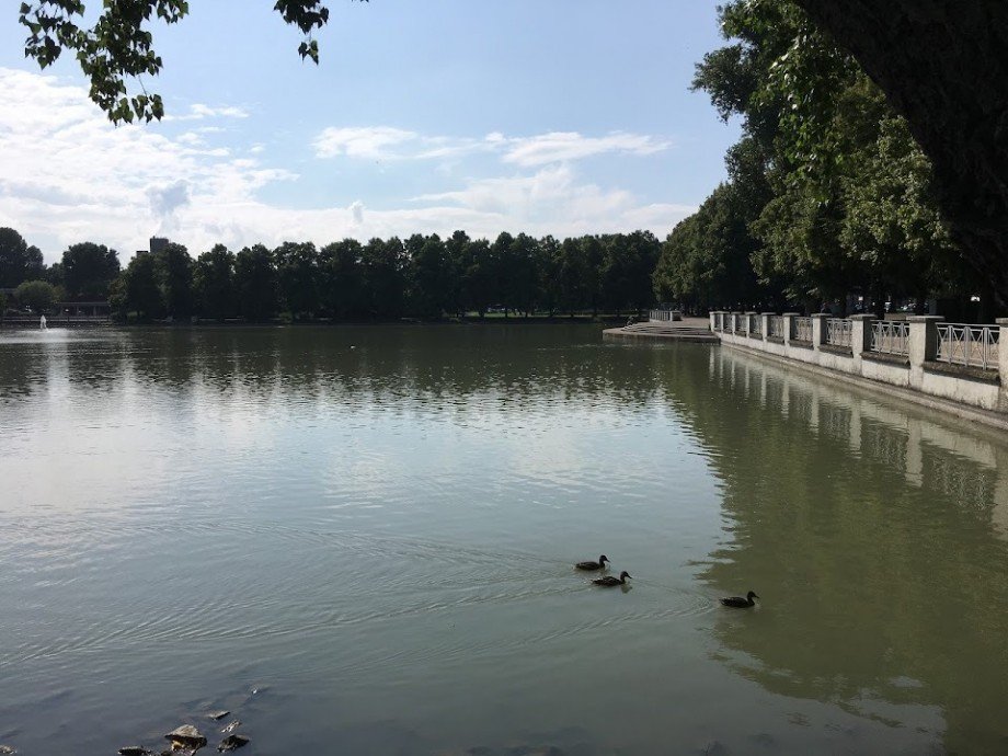 Aachener Weiher Etagenwohnung K�n