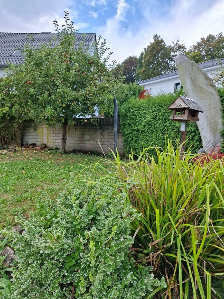 Gartenansicht Wohnung Oelinghoven
