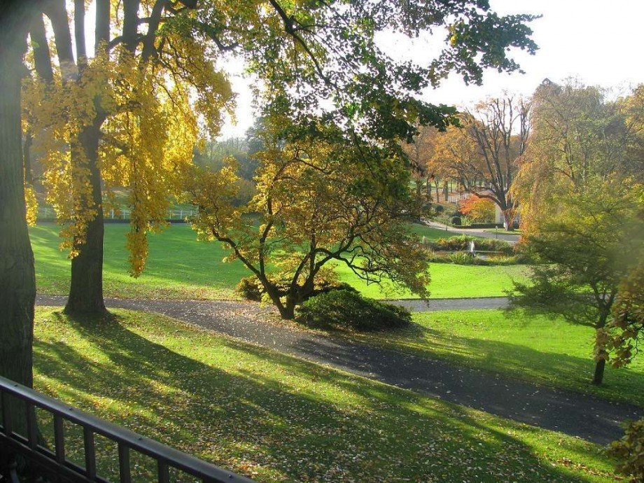Herbst B�rofl�che K�nigwinter