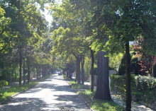 Allee Oberf�hringerstr Vision gestern - Planung heute - Luxusvilla morgen = Prinzen-Carr� in Bogenhausen