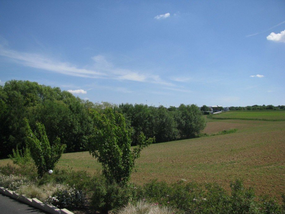 Waldgrenze Grundst�ck K�nigswinter Oberpleis