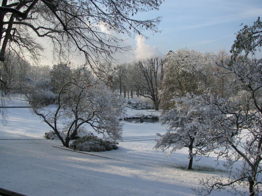 Winter B�rofl�che K�nigwinter